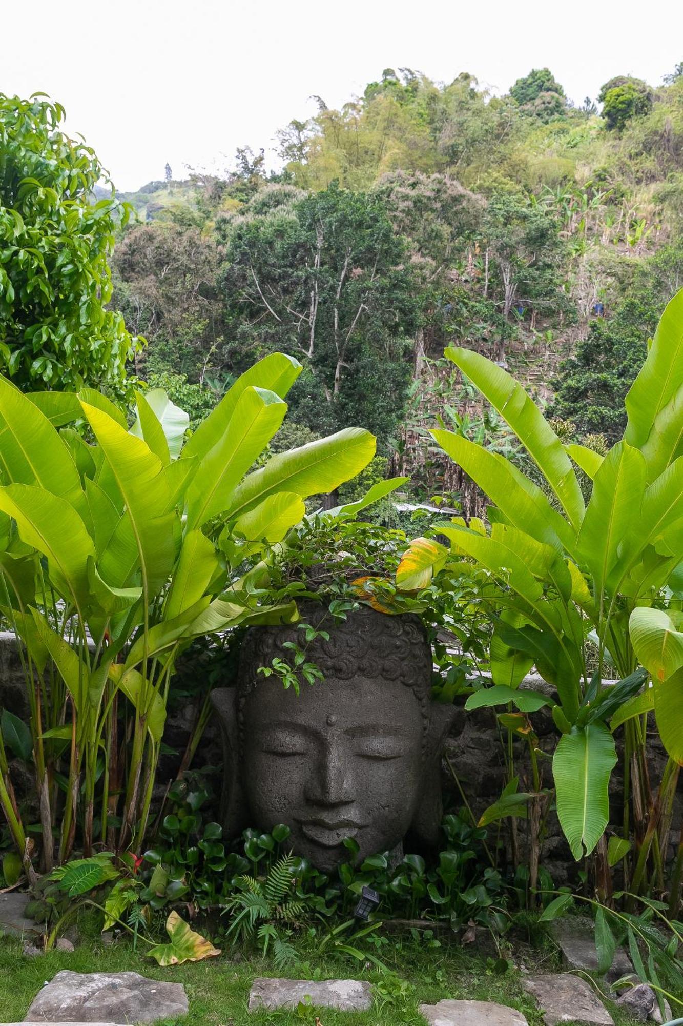 Serendipity Holistic Resort Spa Kingston Buitenkant foto